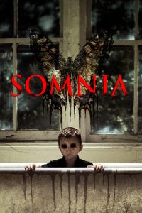 Somnia Dentro De Tus Sueños (MKV) Español Torrent