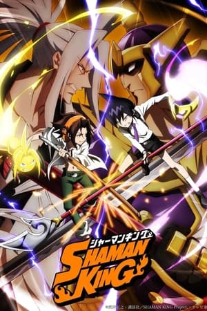 Shaman King 1x1