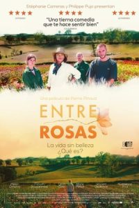 Entre rosas