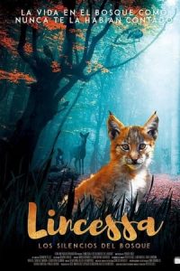 Lincessa. Los silencios del bosque